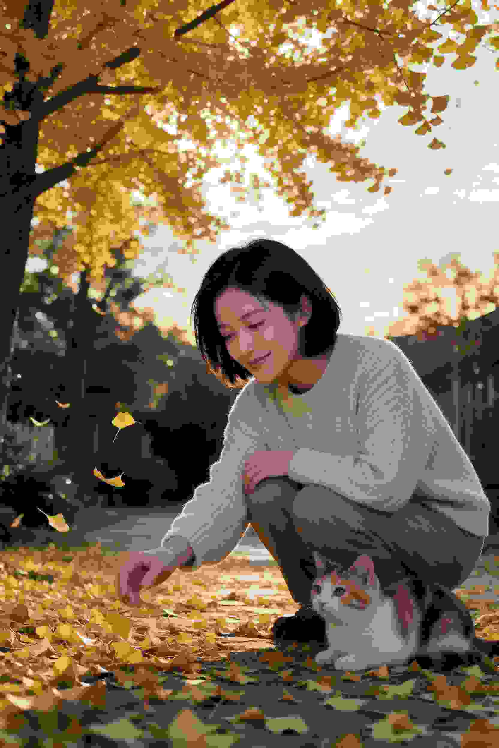 繁花似锦